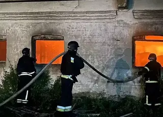 На Дніпропетровщині загинула худоба через атаку БпЛА