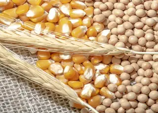 На Житомирщині буде створено індустріальний парк з переробки агропродукції