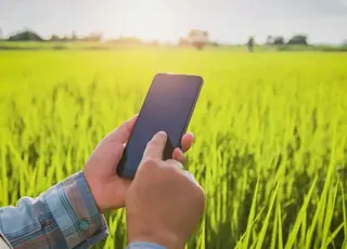ДАР стане ще зручнішим для агровиробників