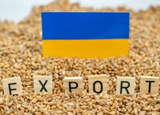Українським зерновим коридором пішло на експорт майже 100 млн т зерна