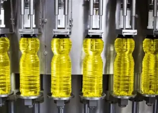 В Україні зупиняються олійні заводи