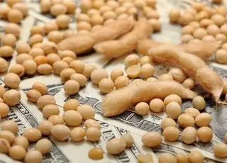 Атаки на порти Одеси стримують експорт та цінову динаміку на ринку сої