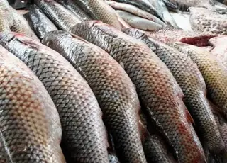 В Україні прогнозують зростання цін на рибу