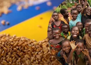 Українські аграрії не хочуть торгувати з Африкою, попри великий попит