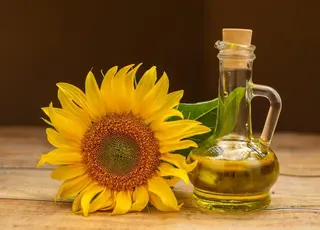 Експерти оцінили втрати України від зупинки експорту соняшникової олії