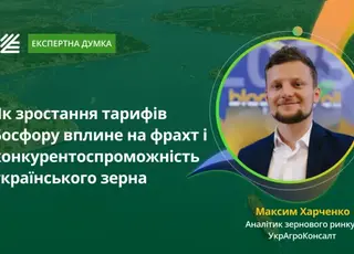 Як підвищення тарифів Босфору вплине на вартість фрахту та експорт українського зерна