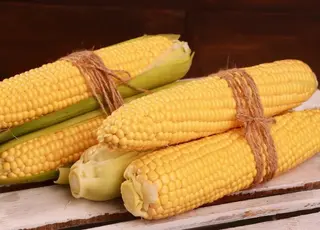 Україна різко втратила позиції на ринку кукурудзи ЄС