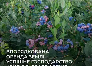 Впорядкована оренда землі — успішне господарство: кейс ФГ «ГРАСС АВЕНЮ