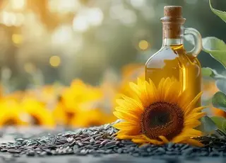 Український бізнес стикається з труднощами при отриманні висновків ТПП для експорту олійних