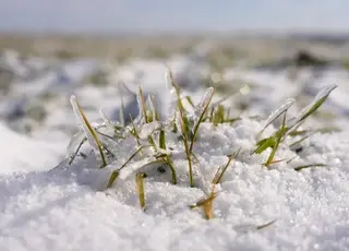 Кіровоградщина і сусідні області потерпають від льодової кірки
