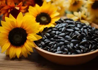 Озвучено оновлені ціни на соняшник в Україні