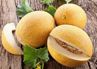 Українську диню можливо зробити експортним хітом