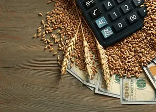 Вересень на аграрному ринку України пройшов у стані стабілізації після цінових коливань