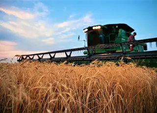 Українські аграрії зібрали майже 20 млн т зернових та зернобобових культур