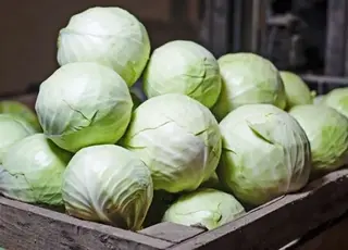 В Україні знизились ціни на капусту