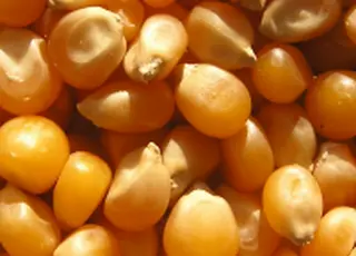 Україна за перший квартал експортувала продовольства на $6,3 млрд