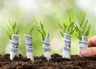 Зарплата у сільському господарстві зросла на 47%
