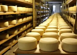 Польські виробники сиру відповіли на заяви про різке зростання імпорту в Україну