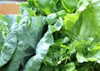 Україна попросила призупинити плату за користування системою ePhyto до завершення війни