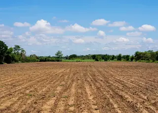 Що робити, якщо спадкоємцю невідомо про наявність спадщини у вигляді земельної частки (паю)