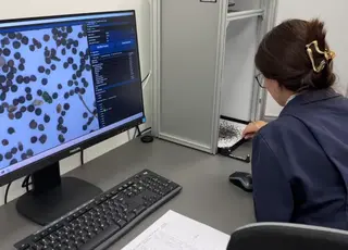 ШІ оцінює зерно з точністю досвідченого лаборанта, але у 600 разів швидше