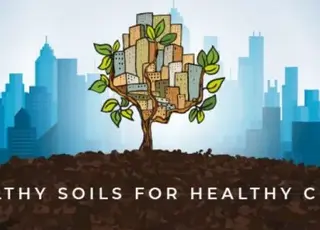 IV Міжнародна конференція про здоров’я ґрунтів відбудеться у грудні 2025 року