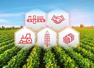 Уряд запроваджує нову систему підтримки аграріїв у складних умовах