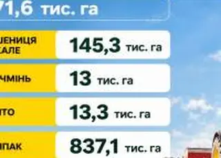 В Україні почалася посівна озимих зернових культур