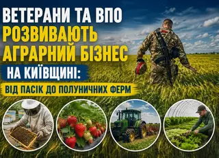 Ветерани та ВПО розвивають аграрний бізнес на Київщині: від пасік до полуничних ферм