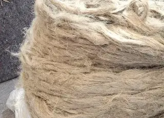 На Житомирщині модернізували завод конопель і запустили новий сезон