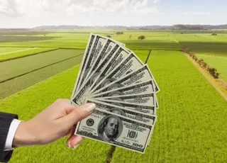 ДАР відкриє прийом заявок на безвідсотковий кредит до 1 млн грн для нових фермерських господарств