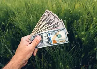 ФАО запускає нову грантову програму для українських фермерів