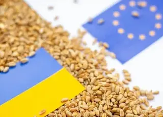 Єврокомісія оприлюднила квоти на імпорт української агропродукції