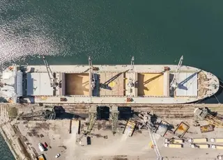 Український експорт пшениці до Єгипту у вересні суттєво зріс