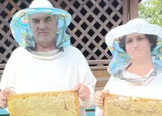Як Олеся Токарь із Чорткова стала успішною бджоляркою та створила унікальну пасіку