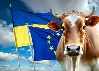 Оновлені квоти ЄС відкривають нові можливості для розвитку тваринництва в Україні