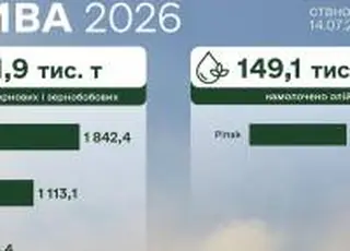 В Україні тривають жнива: аграрії вже намолотили понад 3,1 млн тонн зерна нового врожаю