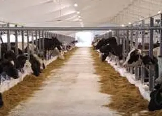 EFI Group планує відкрити завод кормів в Черкаській області в серпні 2026р.