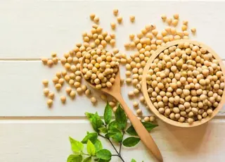 Уряд запровадив моніторинг експорту сої та ріпаку для захисту добросовісних виробників