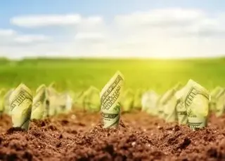 На Львівщині зафіксовано рекордні ставки суборенди держземель