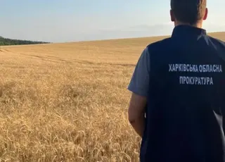 На Харківщині прокуратура повернула у власність держави близько 600 га земель