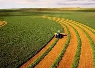 В Україні почав діяти закон 4502-IX , який спрощує доступ до ринку землі іноземцям