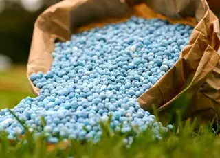 Ситуація на Близькому Сході може спричинити різке зростання цін на продукти