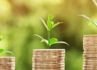 Кабмін змінив правила надання грантів бізнесу: що варто знати аграріям