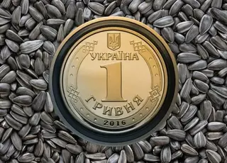 Ціни на соняшник у 2025/26 маркетинговому році можуть знизитися