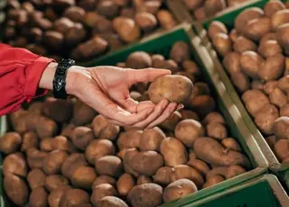 Скільки коштує картопля у столичних супермаркетах