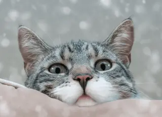 Стало відомо, якою буде погода в Україні цього тижня