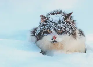 До України йдуть морози до -28°С