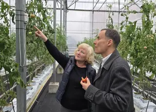 На Поділлі тестуватимуть робота для раннього виявлення хвороб тепличних рослин