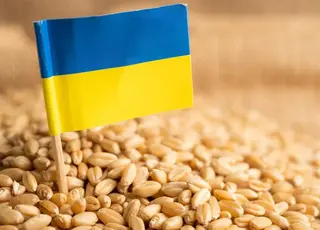 Україна у цьому сезоні не буде обмежувати експорт пшениці